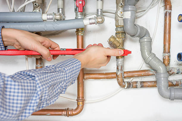 Best Plumbing System Maintenance  in Beacon Hill, WA